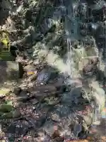 行真寺(宮崎県)