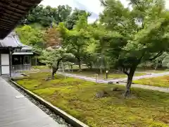 長壽寺（長寿寺）の自然