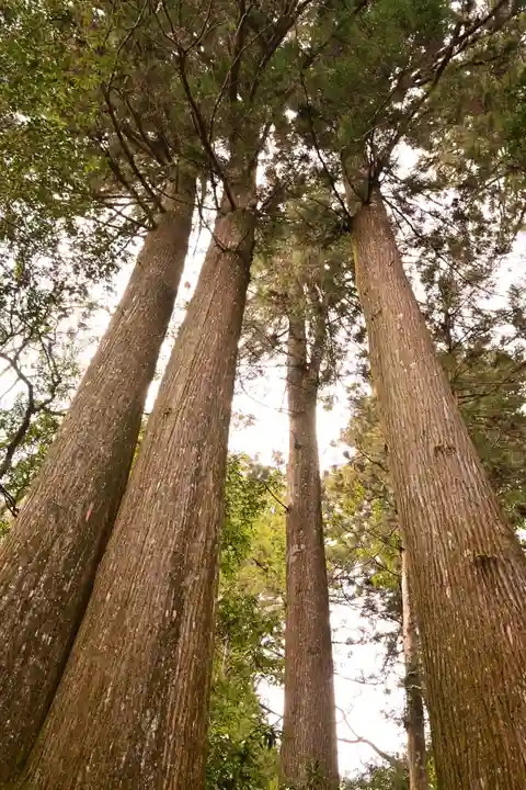 横倉宮(高知県)