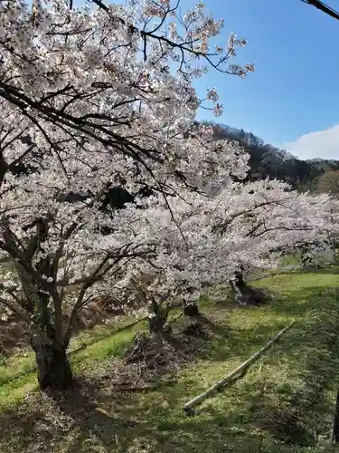 高司神社〜むすびの神の鎮まる社〜の自然