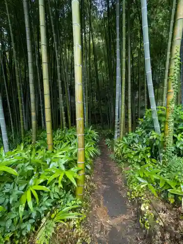 英勝寺(神奈川県)
