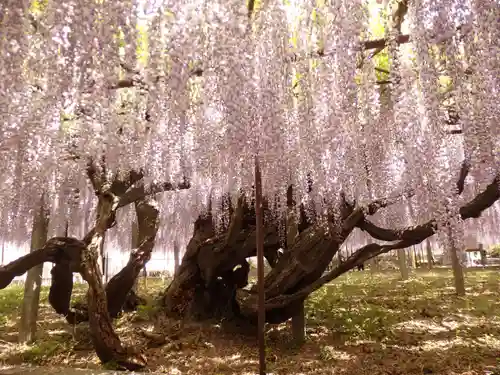 長泉寺の庭園