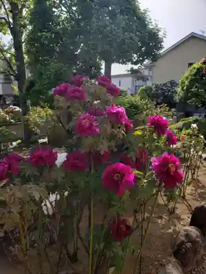 禅定院(東京都)
