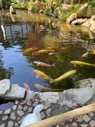 楽法寺（雨引観音）の庭園