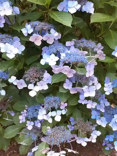 月山神社(岩手県)