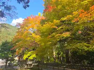 長安寺(京都府)