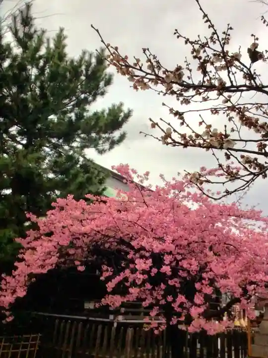 新宿下落合氷川神社(東京都)