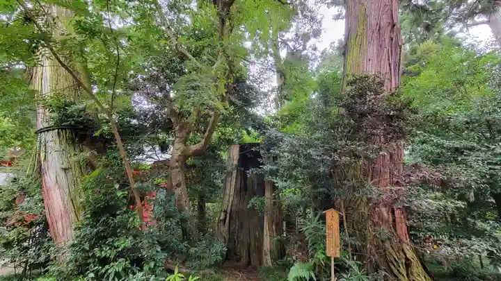 香取神宮のその他建物
