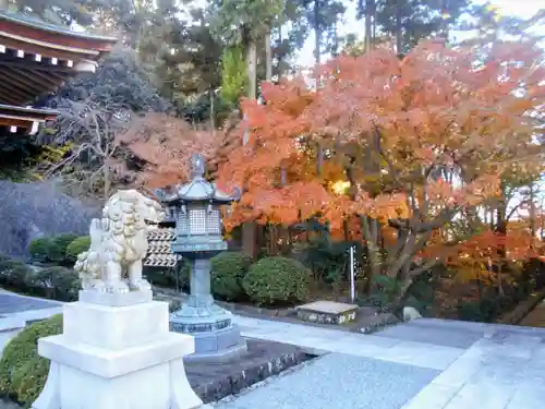 天嶽院の景色