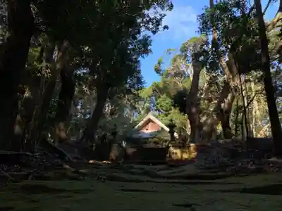 八幡神社の本殿・本堂