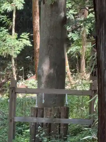 諏訪大社下社春宮(長野県)