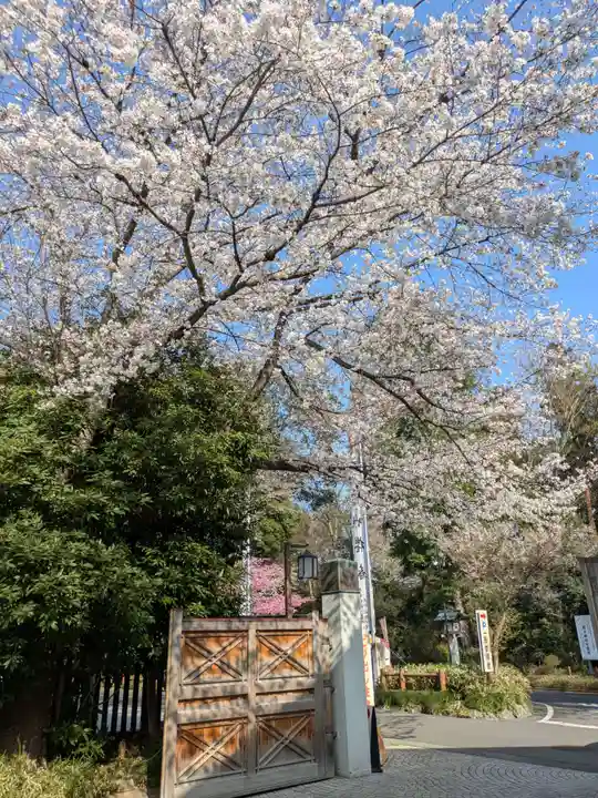 櫻木神社(千葉県)