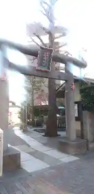 厳嶋神社の鳥居