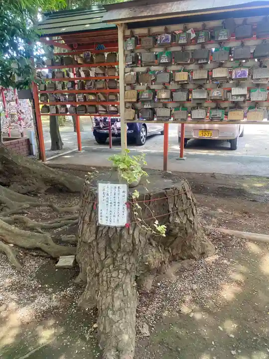 大宮・大原神社(千葉県)