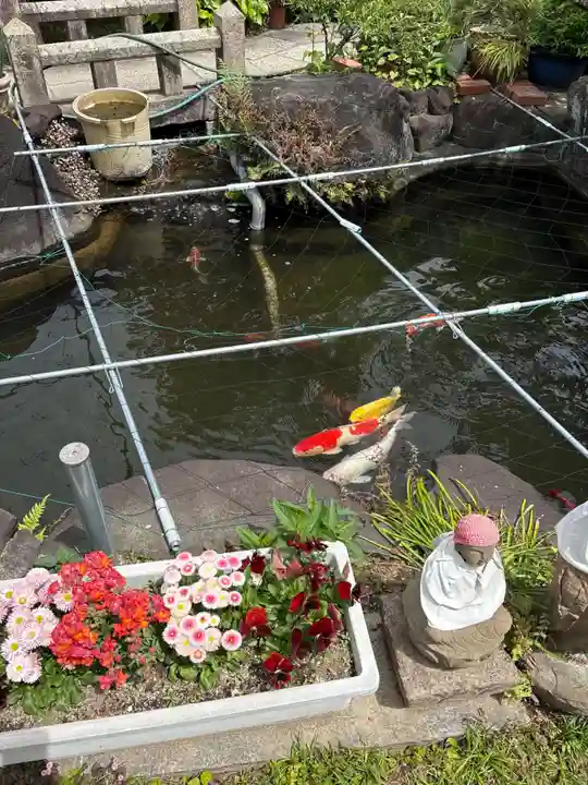 興徳寺(大阪府)