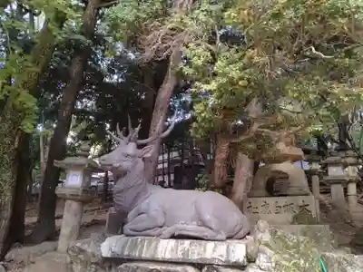 春日大社の狛犬