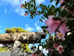 倶梨迦羅神社(長野県)