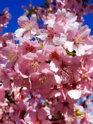 福蔵院(東京都)