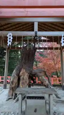 伏見稲荷大社(京都府)