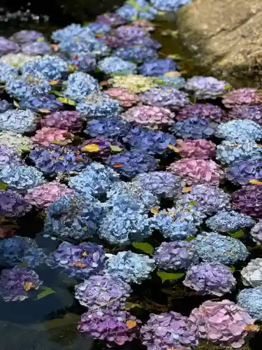 武蔵一宮氷川神社(埼玉県)