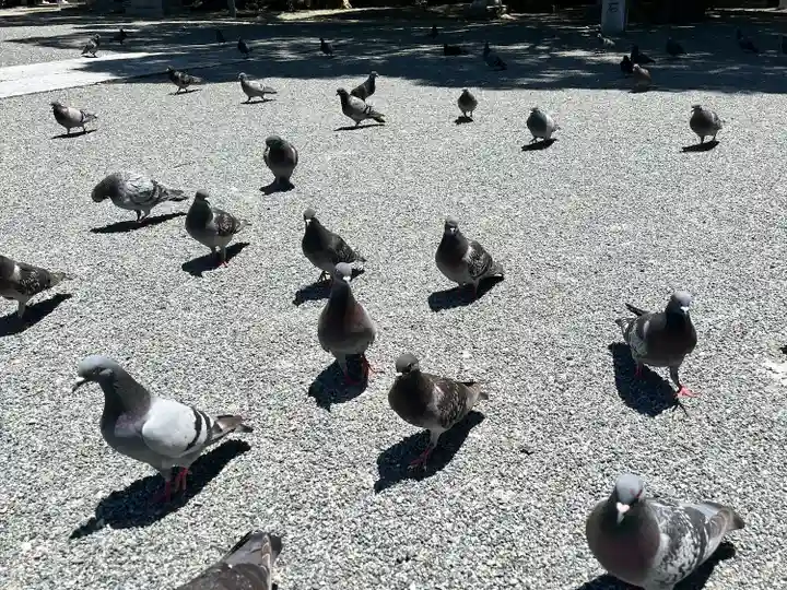 開口神社(大阪府)