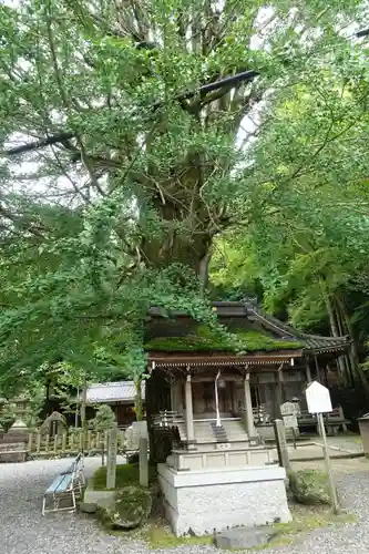 正法寺の末社