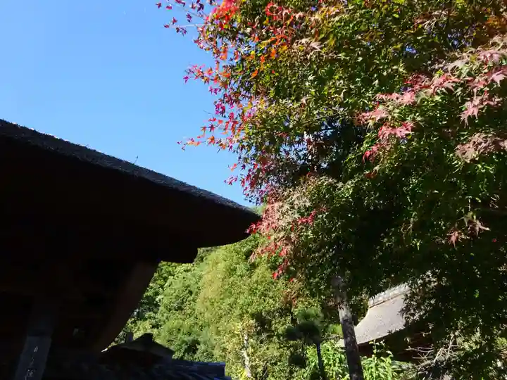 横浜 西方寺の自然