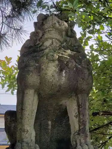 鹿嶋神社の狛犬