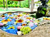 嵐山瀧神社(大分県)