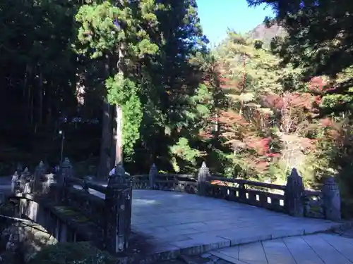 身延山 祖廟拝殿の自然