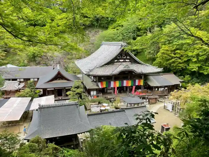 岡寺(龍蓋寺)の{uncategorized: "未分類", other: "その他", undefined: "問題あり", building: "その他建物", grave: "お墓", sacred_gate: "鳥居", guardian: "狛犬", statue: "像", buddha: "仏像", history: "歴史", nature: "自然", garden: "庭園", animal: "動物", pagoda: "塔", temizu: "手水舎", mountain_gate: "山門・神門", sanctuary: "本殿・本堂", subordinate: "末社・摂社", art: "芸術", scenery: "景色", jizo: "地蔵", ema: "絵馬", goshuin: "御朱印", omikuji: "おみくじ", items: "授与品その他", amulet: "お守り", goshuincho: "御朱印帳", eats: "食事", festival: "お祭り", votive_dance: "神楽", shichigosan: "七五三参", wedding: "結婚式", experience: "体験その他", initially: "初詣", around: "周辺", anti_infection: "感染症対策"}