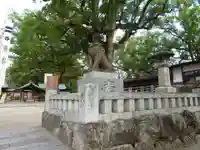 宇美八幡宮の狛犬