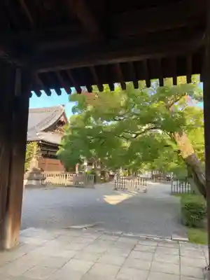 廬山寺(廬山天台講寺)(京都府)