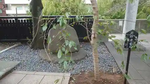 熊野神社(東京都)
