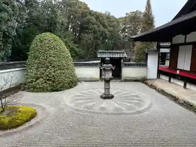 雲龍院の庭園
