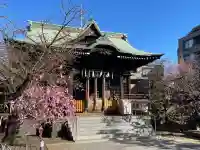 桜神宮(東京都)