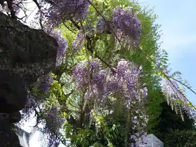 長福寺(神奈川県)