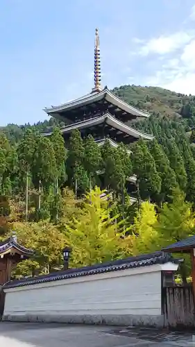 清大寺(越前大仏)の建物その他