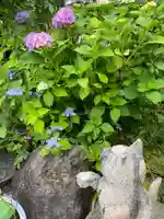 御誕生寺(猫寺)(福井県)