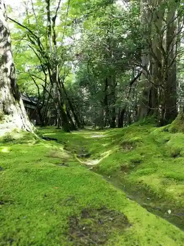 那谷寺の庭園