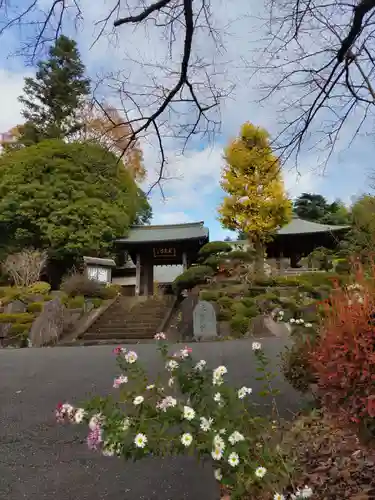 玉泉寺の山門