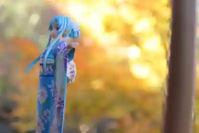 正寿院(京都府)