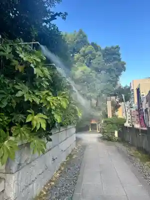 東京大神宮(東京都)