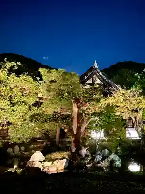 高台寺（高台寿聖禅寺・高臺寺）(京都府)