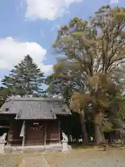 川崎神明社の建物その他