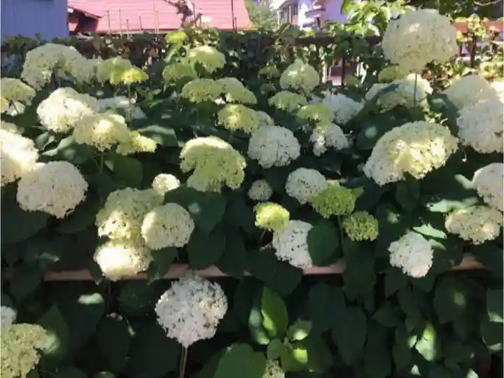 日吉八王子神社の自然