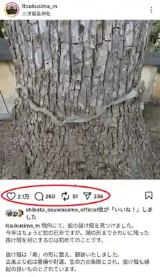 三津厳島神社(愛媛県)