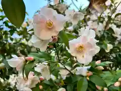 神ノ木神社(香川県)