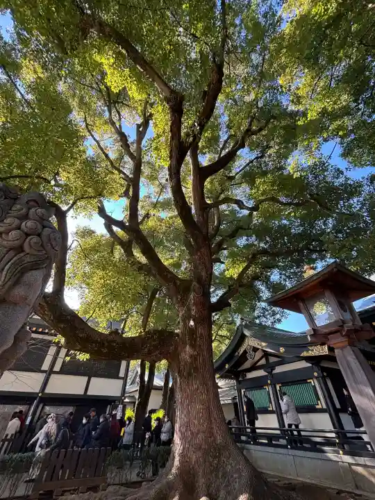 穴八幡宮(東京都)