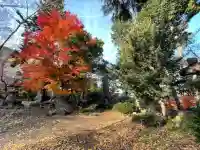 津島神社(岐阜県)